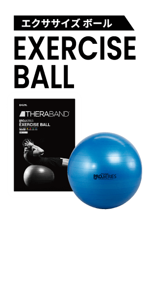 エクササイズ ボール