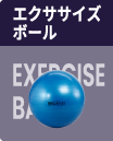 エクササイズ ボール