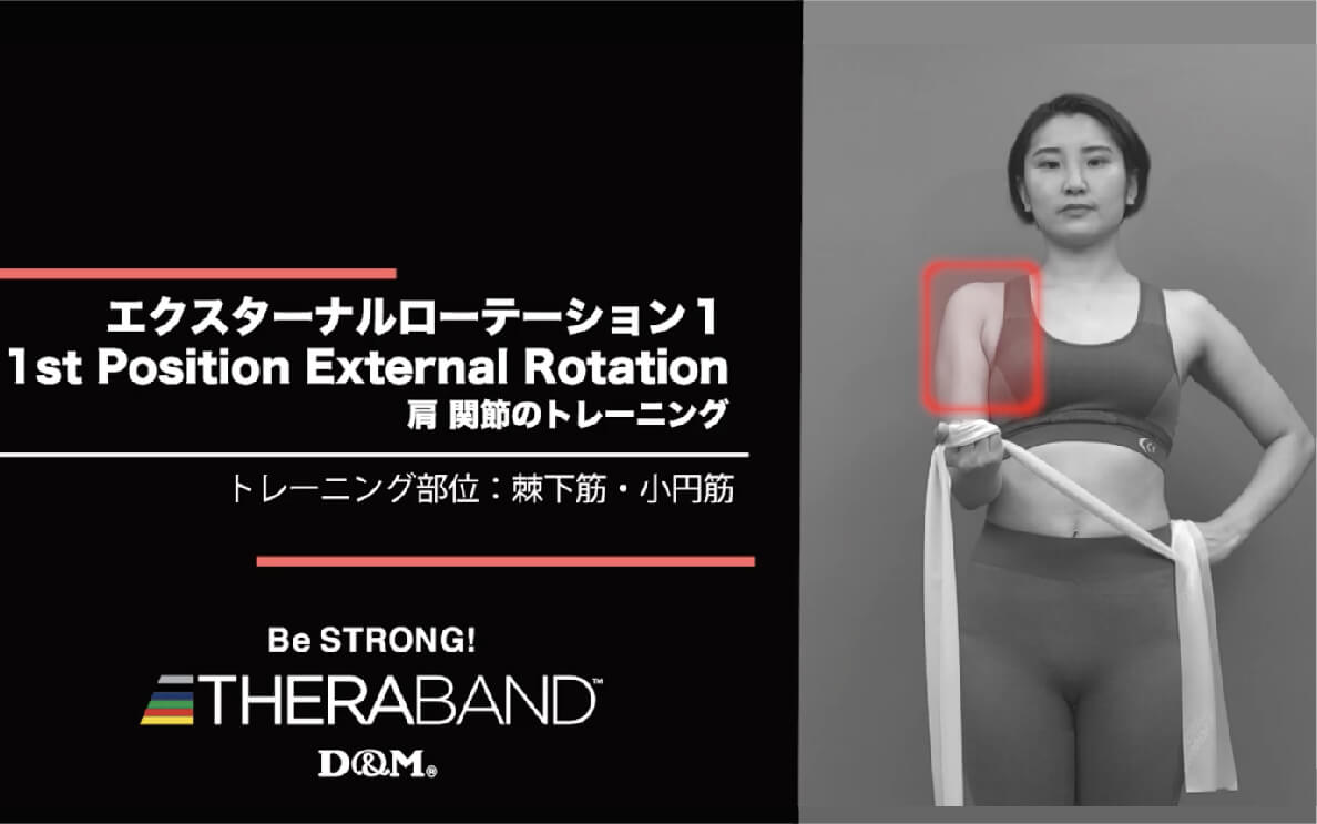エクスターナルローテーション 1 /棘下筋・小円筋/1st Position External Rotation