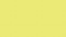 【PFUブルーキャッツ所属選手使用】difunc ディファンク トリコットニーパッド  膝サポーター 10mm厚パッド 1個入 日本製 #D-808~812 イメージ14