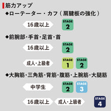 レクササイズ トレーニングバンド 1.8m 強度レベル4種類 強度別 幅12.5cm RBF-1~4 イメージ16