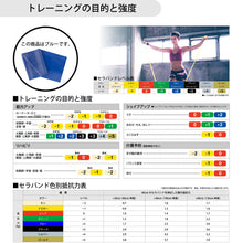 THERABAND セラバンド フォーエントリー 初心者向け 長さ1m 強度レベル+2ブルー #TBE-4 イメージ4