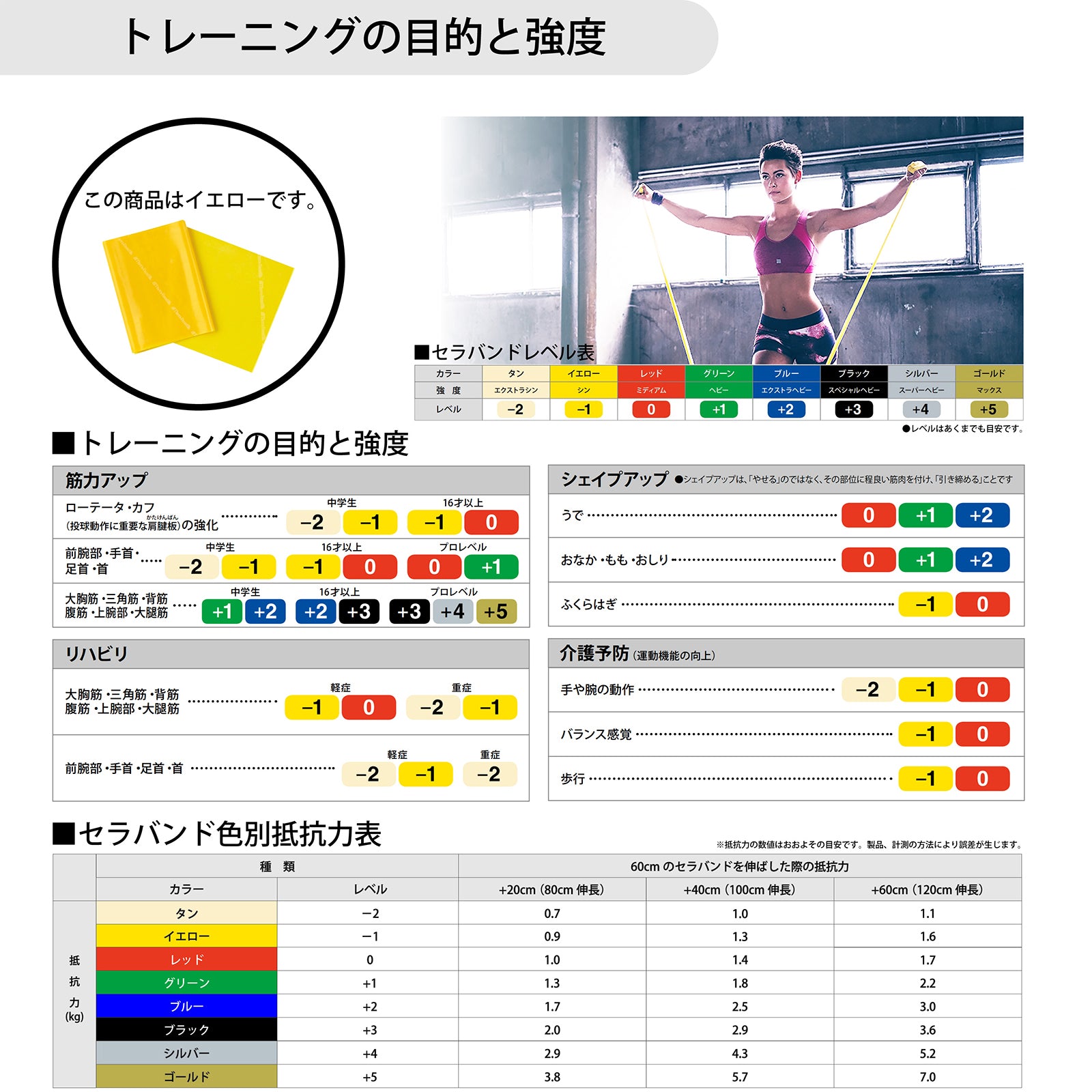 THERABAND セラバンド フォーエントリー 初心者向け 長さ1m 強度レベル