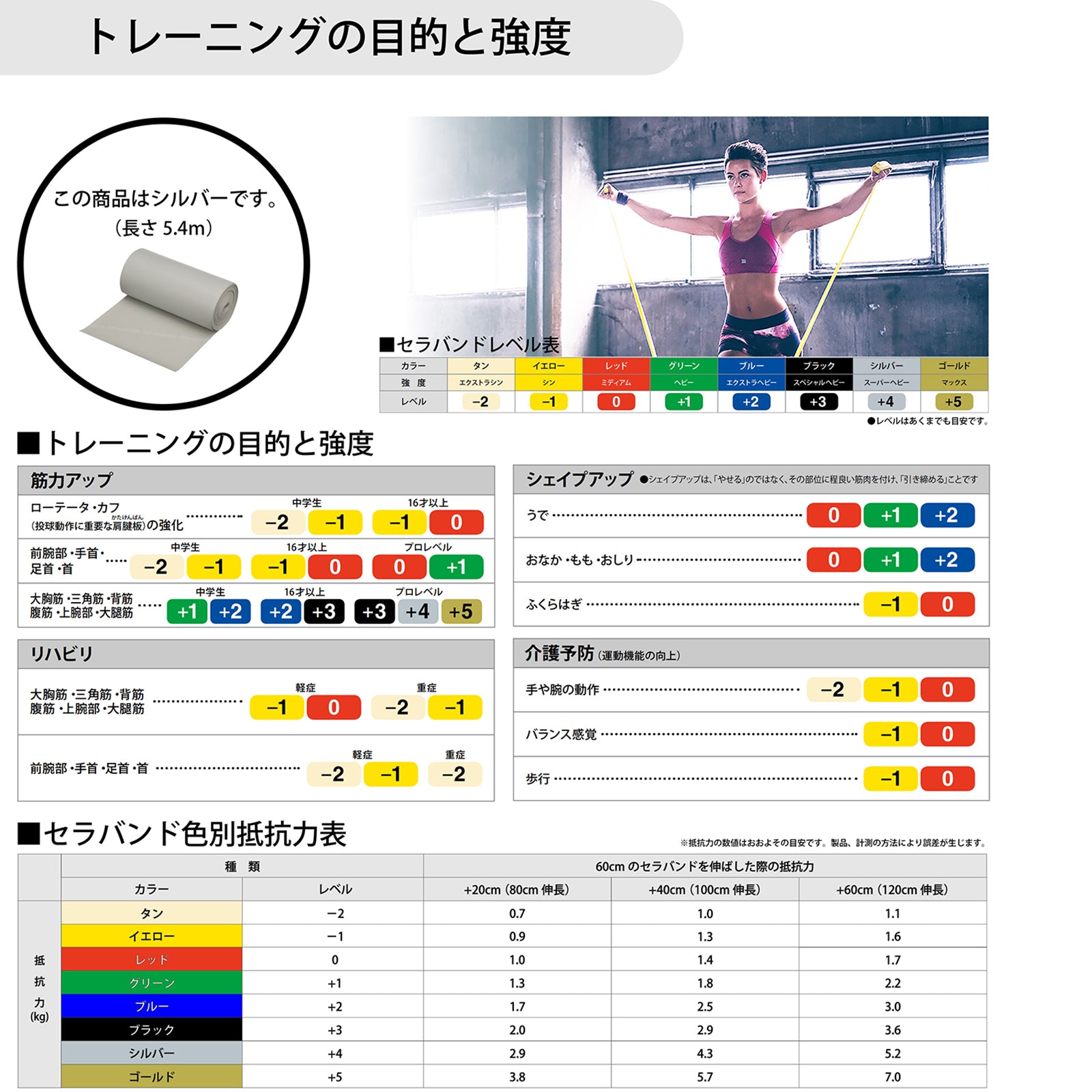 THERABAND セラバンド 長さ5.4m/6ヤード 強度レベル+4 グレー #TB-6