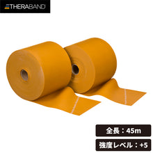 THERABAND セラバンド 長さ45m/50ヤード 強度レベル+5 ゴールド #TB-750 イメージ1