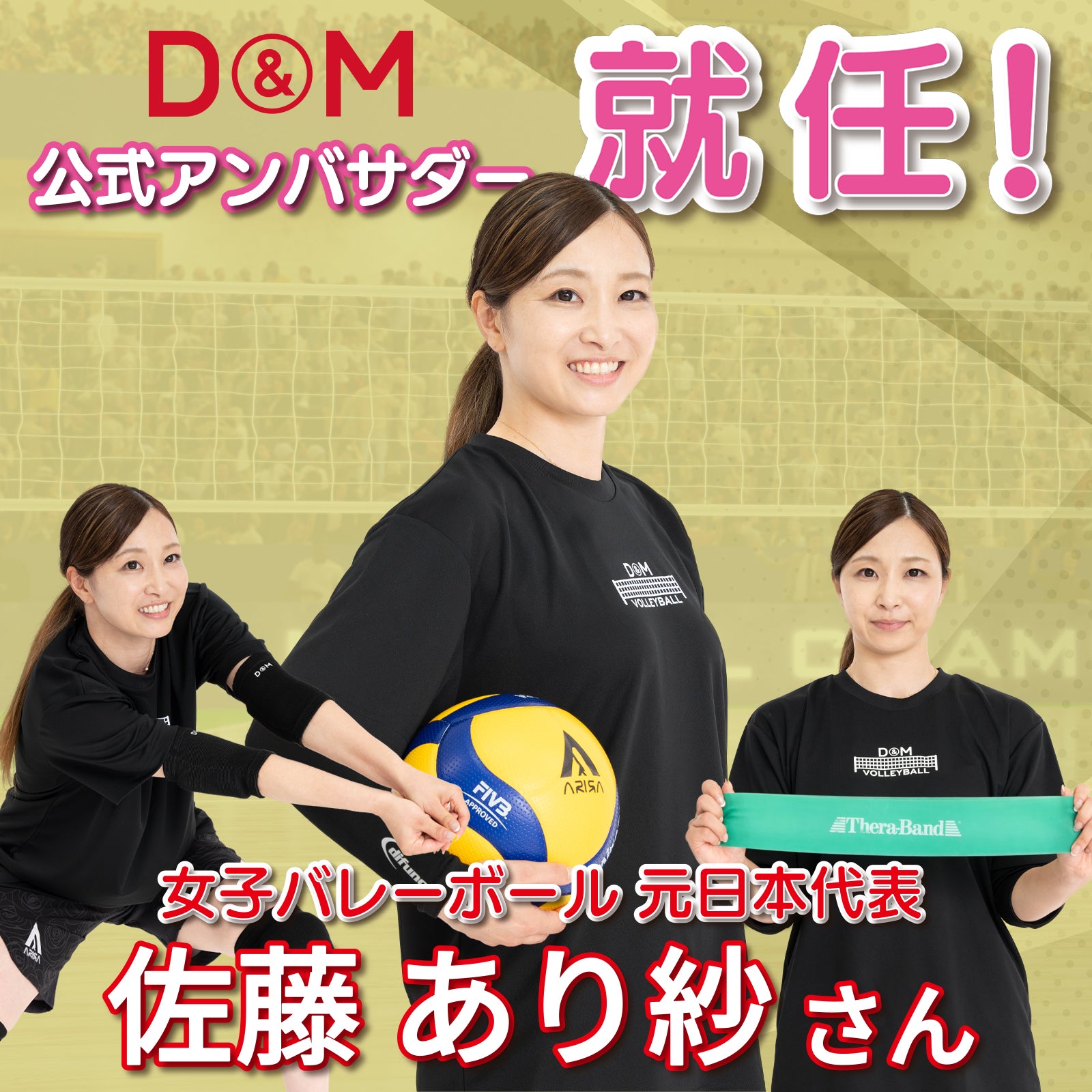 バレーボールサポーター
