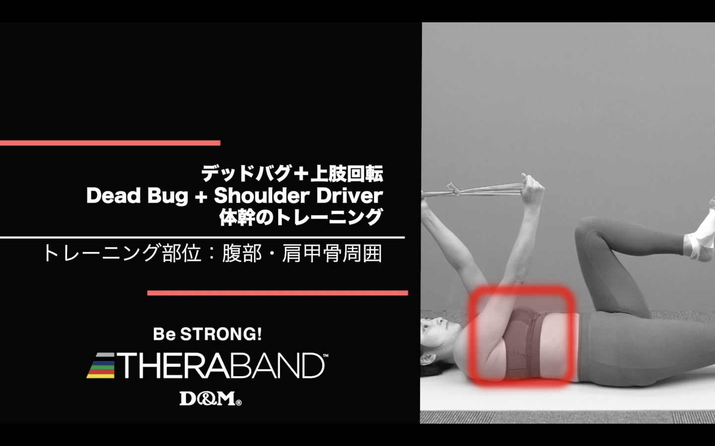 デッドバグ 上肢回転/腹部・肩甲骨周囲/Dead Bug + Shoulder Driver