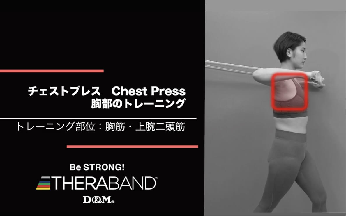 チェストプレス/胸筋・上腕二頭筋/Chest Press