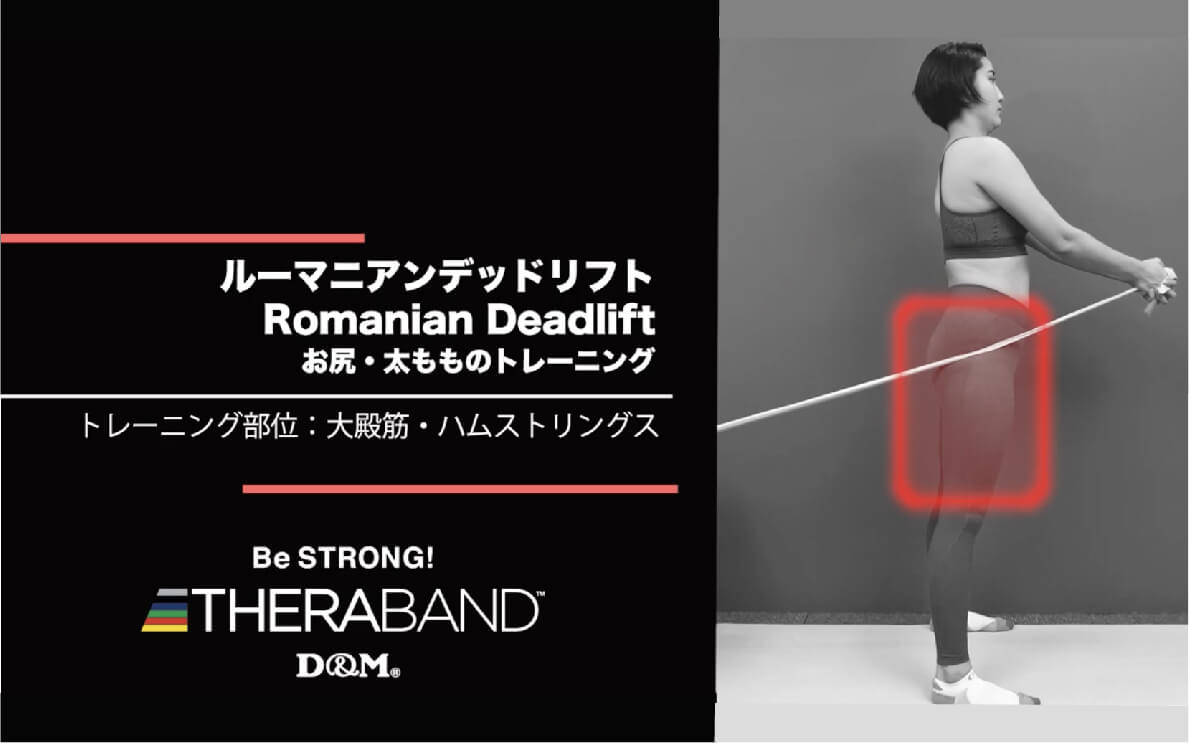 ルーマニアンデッドリフト/大殿筋・ハムストリングス/Romanian Deadlift