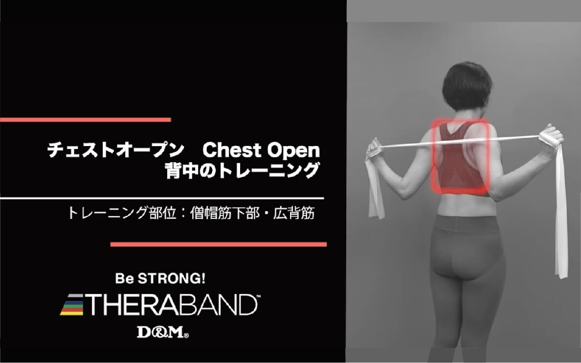 チェストオープン/僧帽筋下部・広背筋/Chest Open