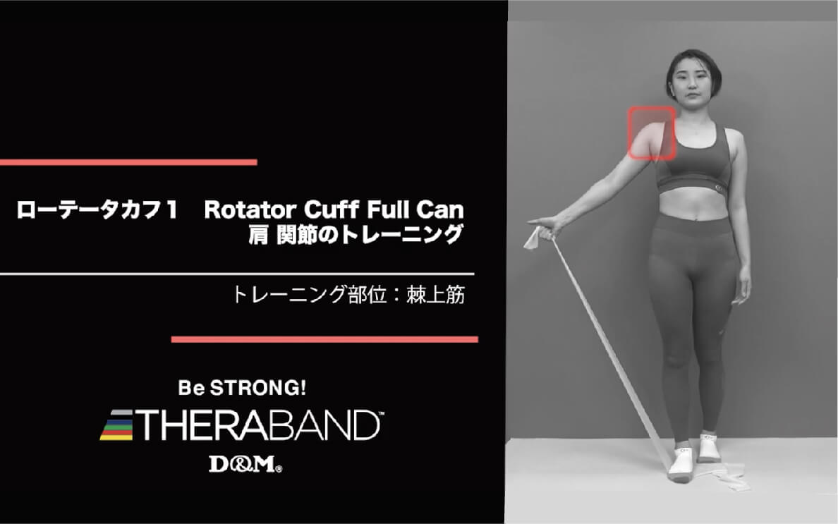 ローテータカフ 1/棘上筋/Rotator Cuff Full Can