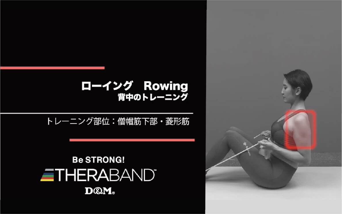 ローイング/僧帽筋下部・菱形筋/Rowing