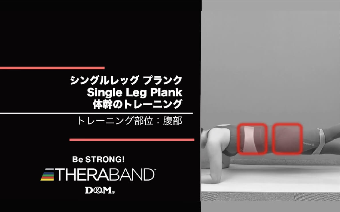 シングルレッグ プランク/腹部/Single Leg Plank