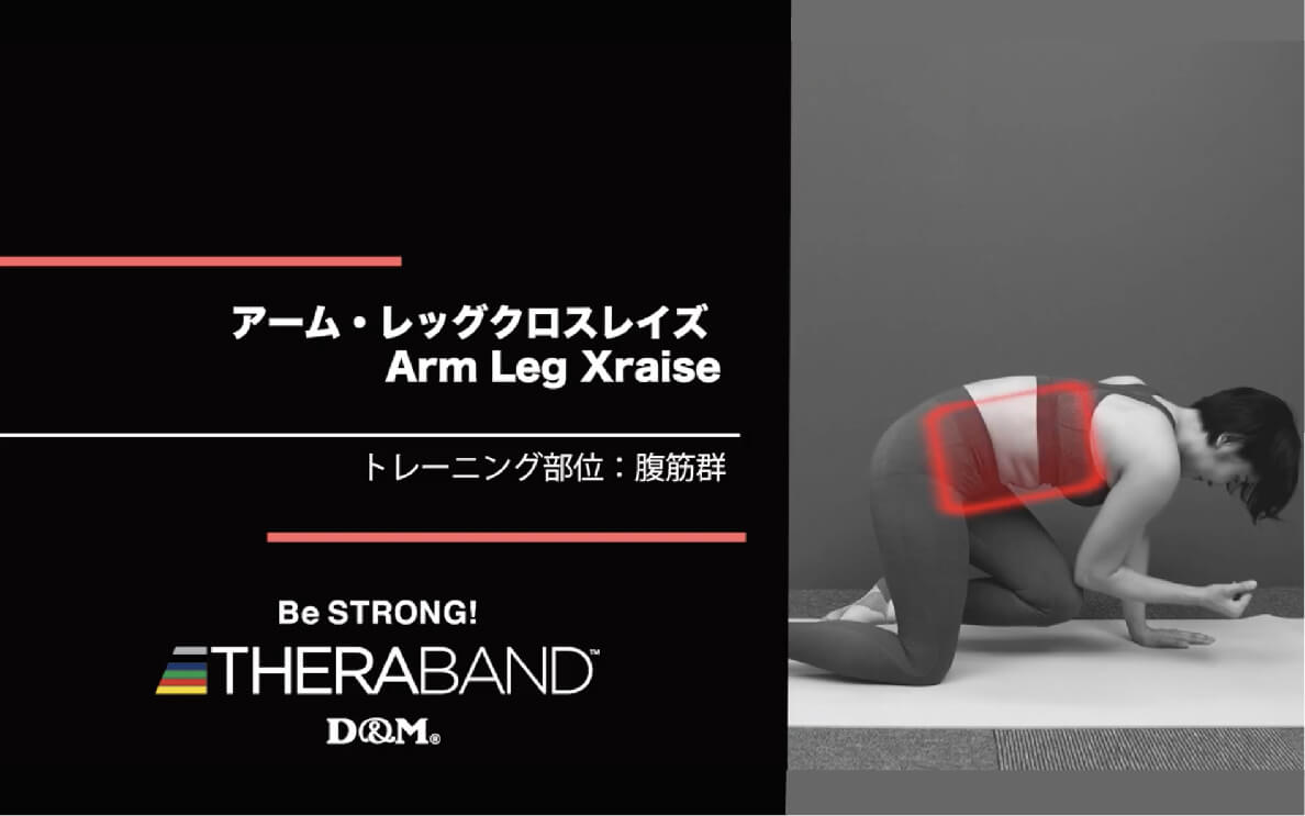 アーム・レッグクロスレイズ/ 腹筋群/Arm Leg Xraise