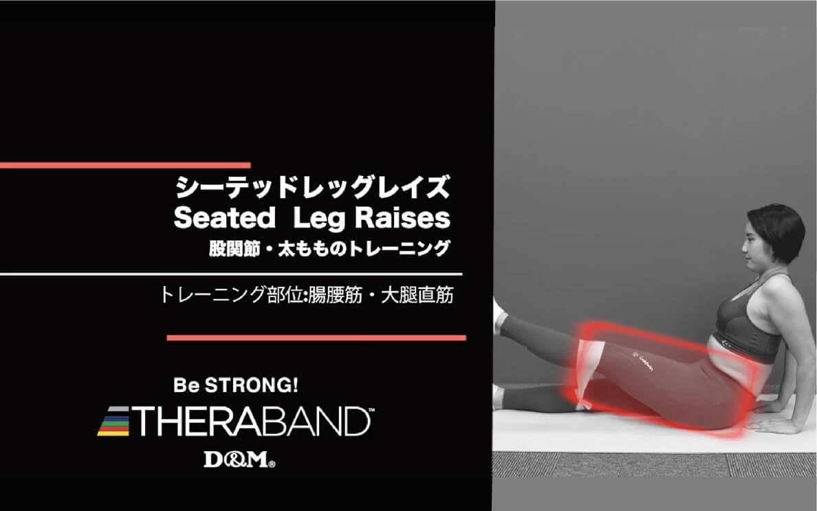 シーテッドレッグレイズ/腸腰筋・大腿直筋/Seated  Leg Raises
