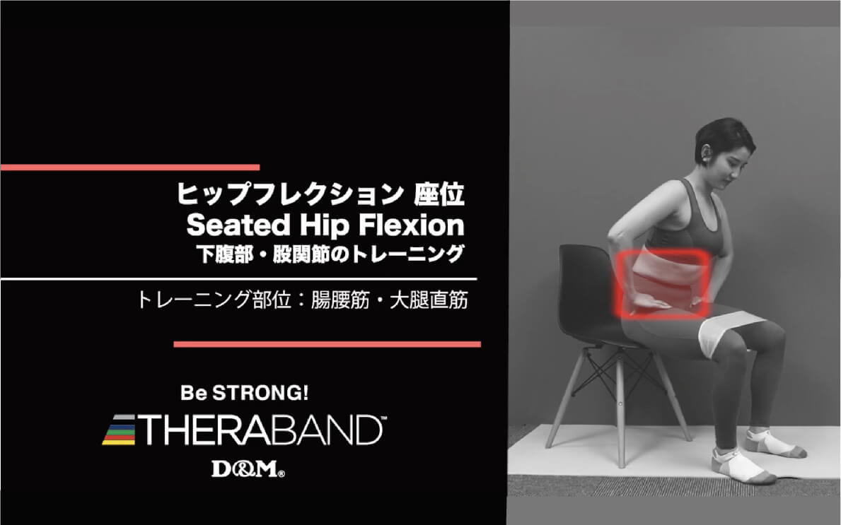 ヒップフレクション 座位/腸腰筋・大腿直筋/Seated Hip Flexion