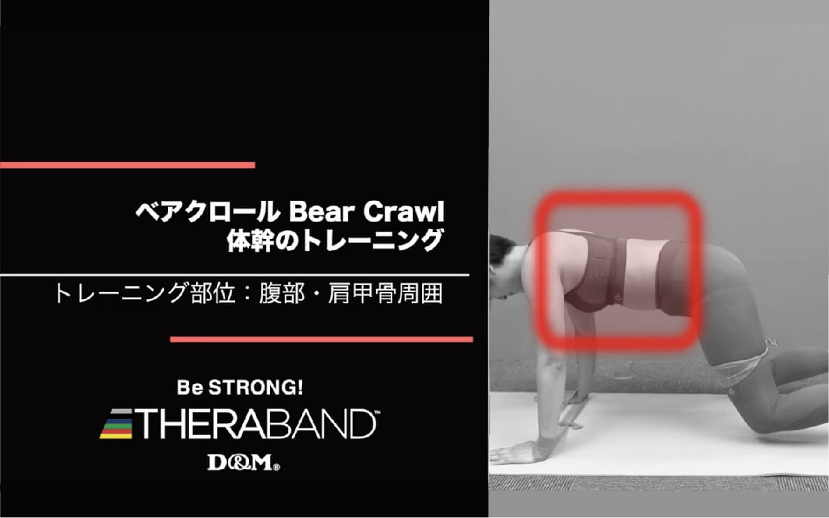 ベアクロール/腹部・肩甲骨周囲/Bear Crawl