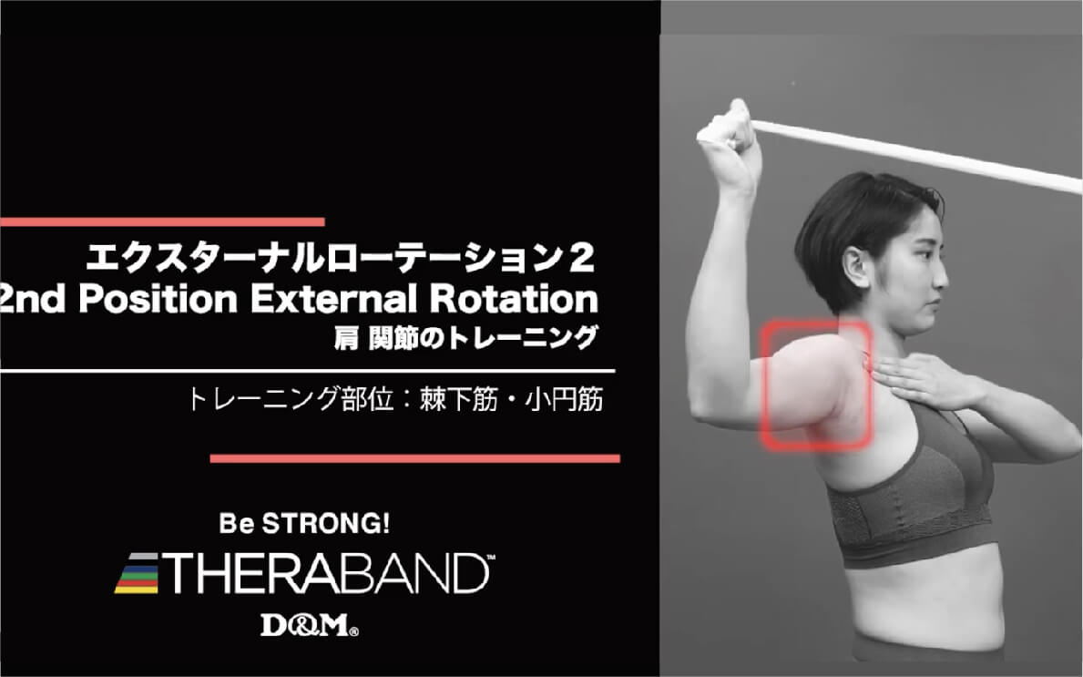 エクスターナルローテーション 2/棘下筋・小円筋/2nd Position External Rotation