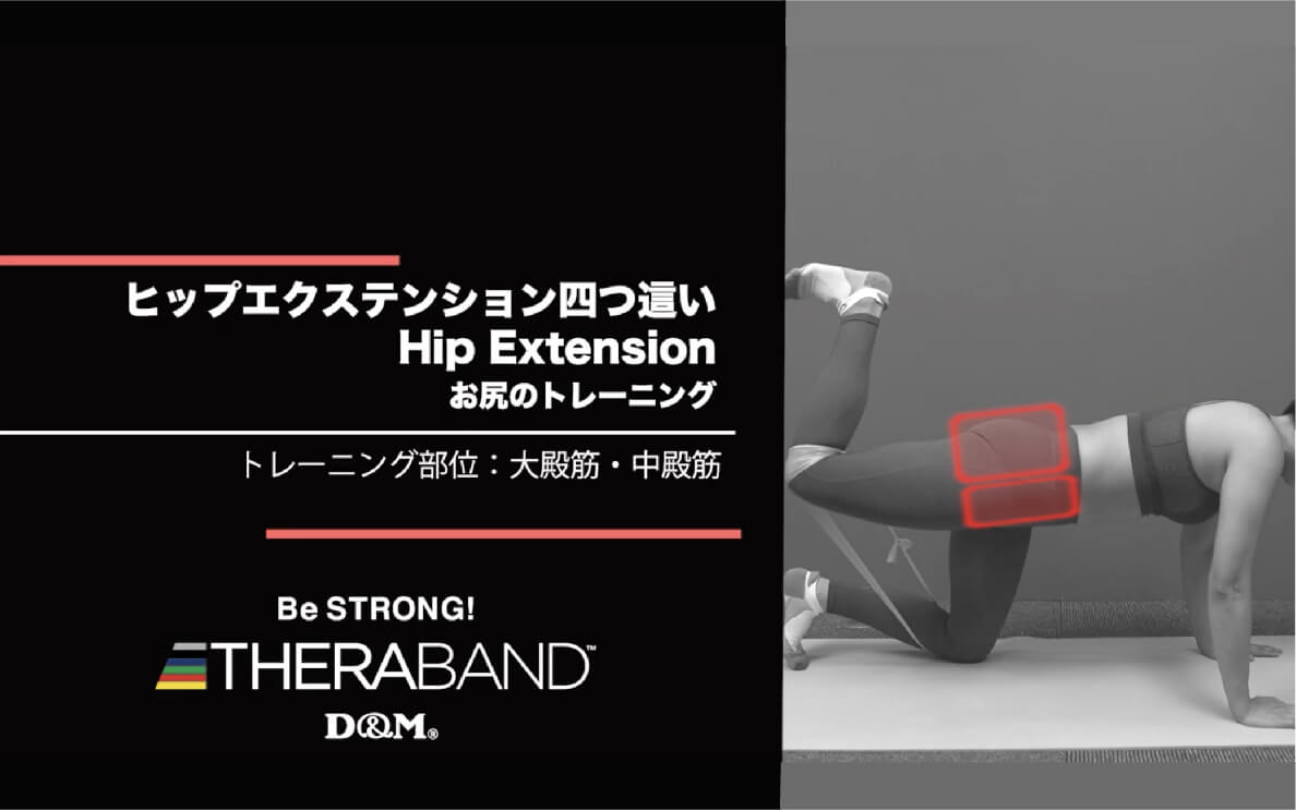 ヒップエクステンション四つ這い/大殿筋・中殿筋/Hip Extension