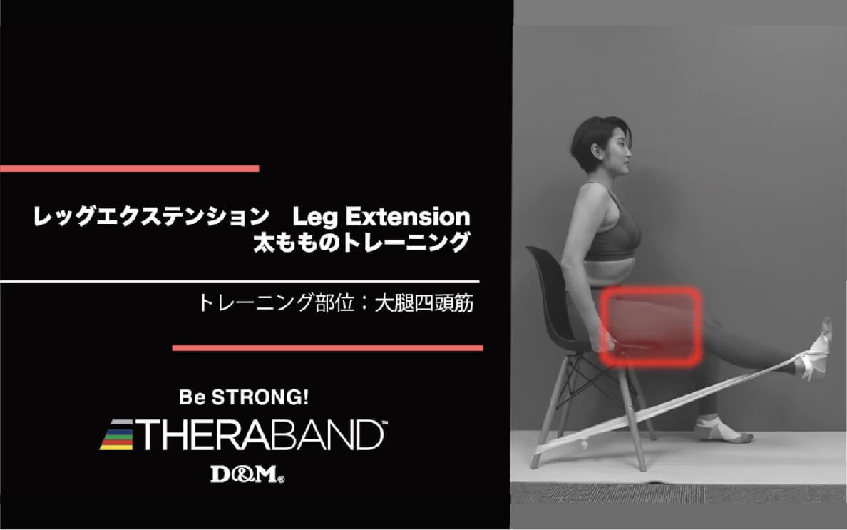 レッグエクステンション/大腿四頭筋/Leg Extension