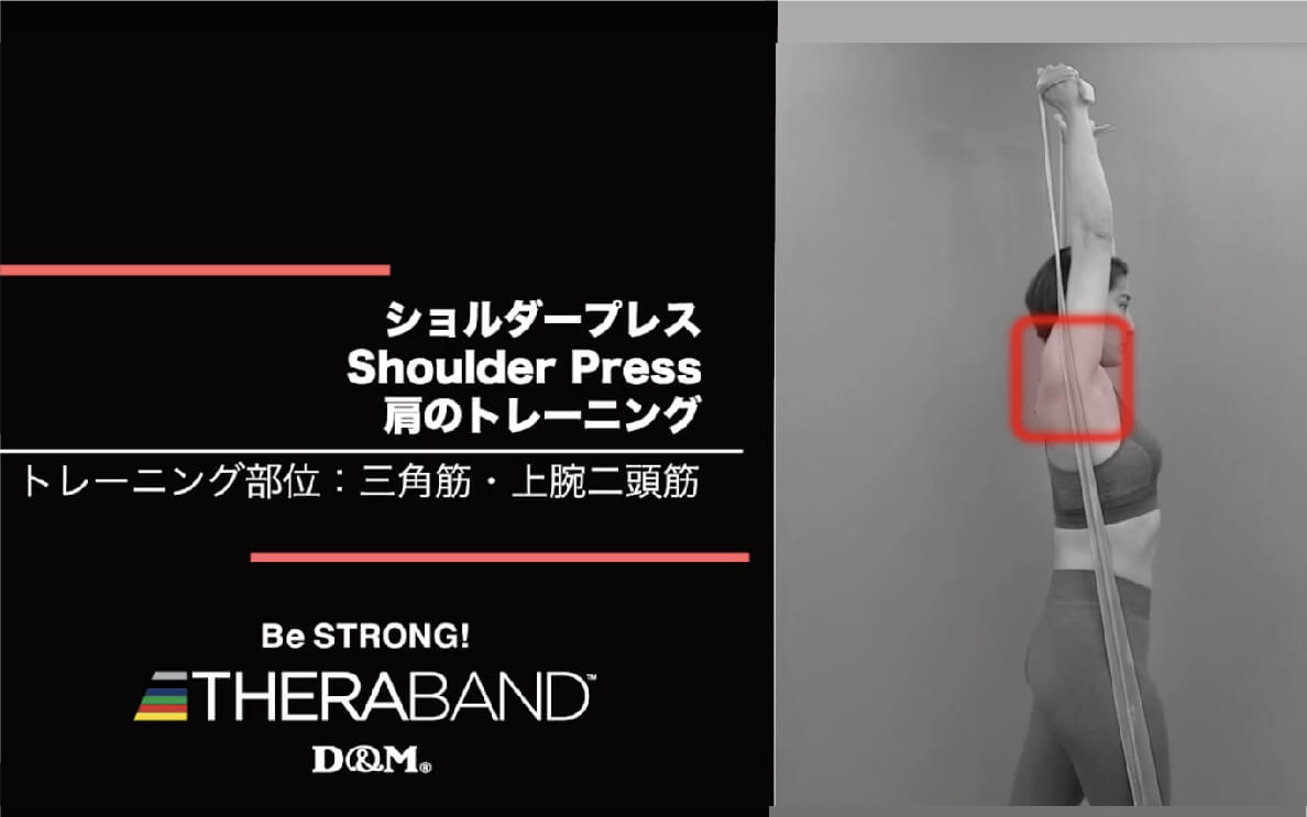 ショルダープレス/三角筋・上腕二頭筋/Shoulder Press