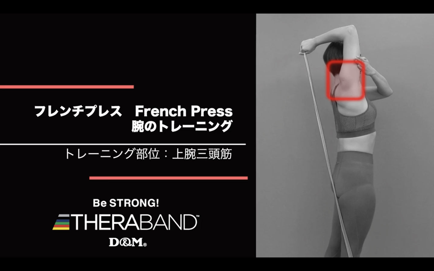フレンチプレス/上腕三頭筋/French Press