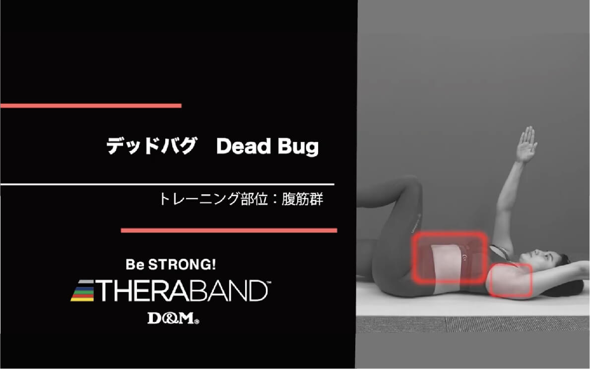 デッドバグ/腹筋群/Dead Bug