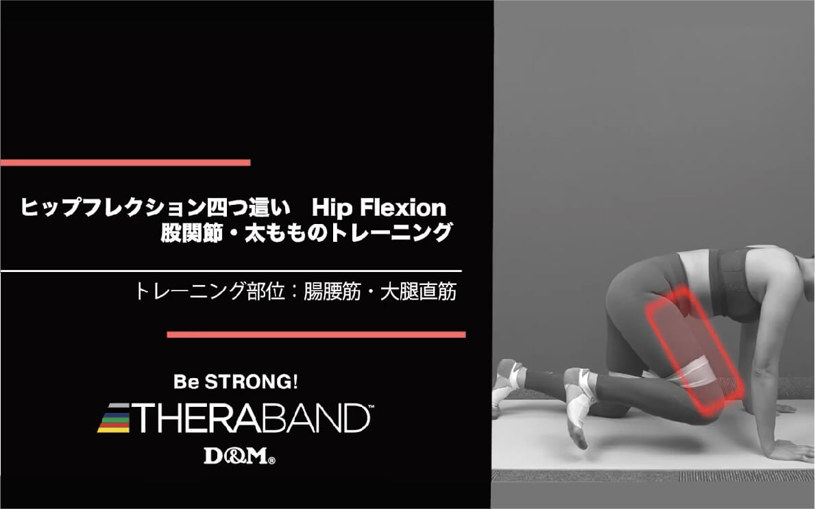 ヒップフレクション四つ這い/腸腰筋・大腿直筋/Hip Flexion