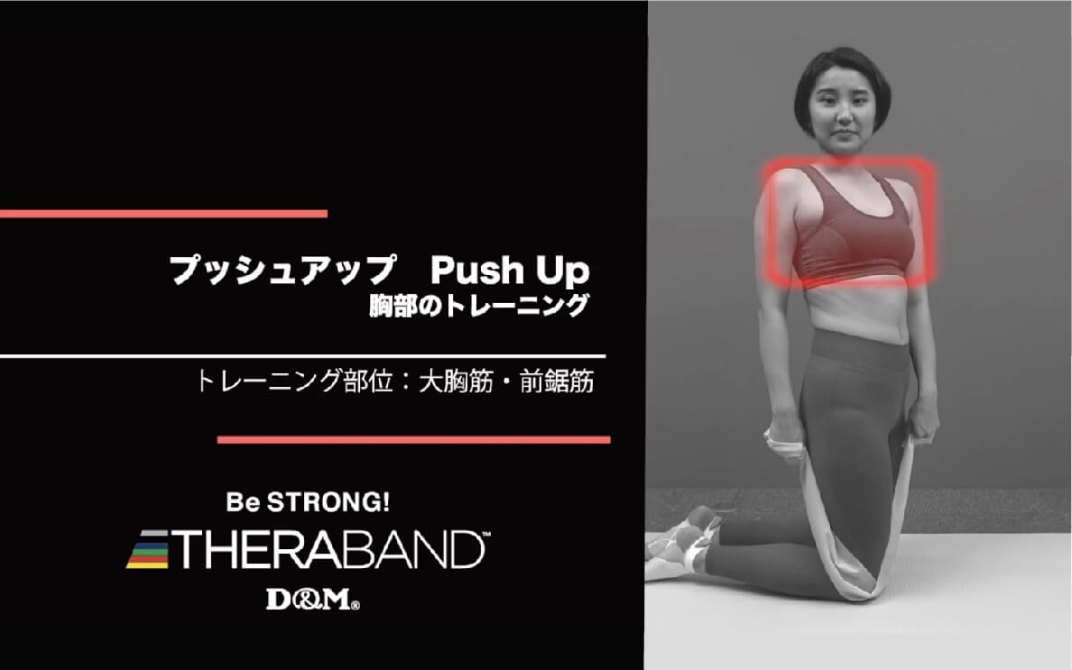 プッシュアップ/大胸筋・前鋸筋/Push Up