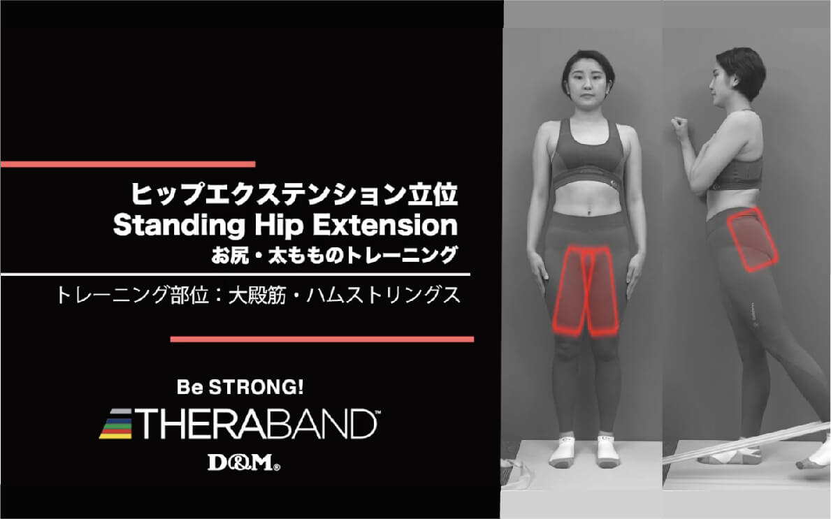 ヒップエクステンション立位/大殿筋・ハムストリングス/Standing Hip Extension