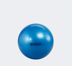 エクササイズ ボール／体幹バランス EXERCISE BALL