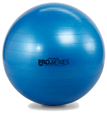 EXERCISE BALL