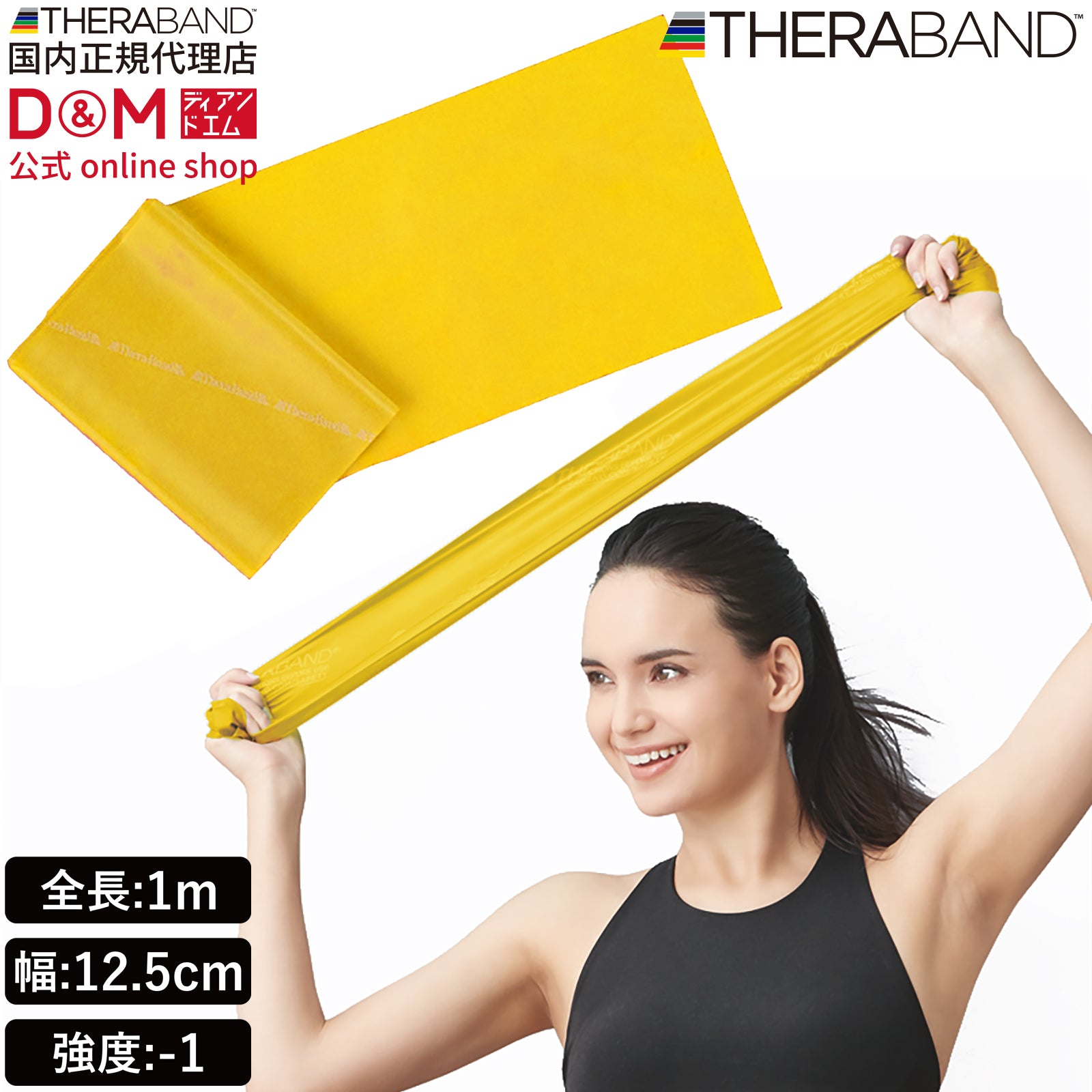 THERABAND セラバンド フォーエントリー 初心者向け 長さ1m 強度レベル
